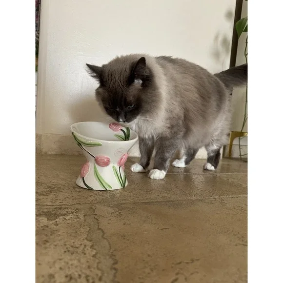 Mellow & Mod Cat Drinking Water Tall Bowl "Pink tulips" Hand Painted Colorful - Picture 10 of 10